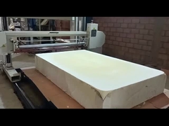 เครื่องทำโฟมแรงดันต่ำแนวนอน, เครื่องทำโฟมโพลียูรีเทนแบบยืดหยุ่นพร้อมปั๊ม Japaness